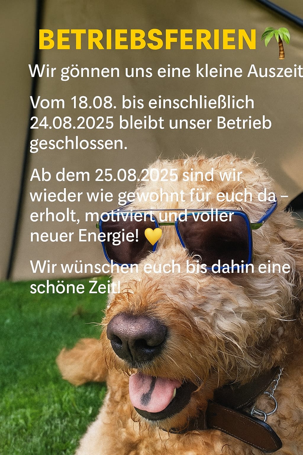 urlaub-hinzelmann-2025